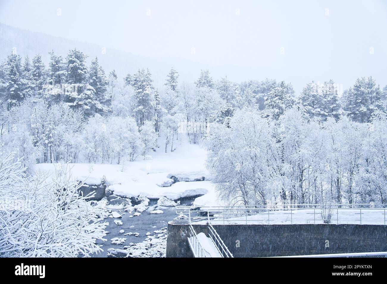 Paysage d'hiver en Scandinavie. Avec des arbres couverts de neige par un petit ruisseau. Photo de paysage du nord Banque D'Images