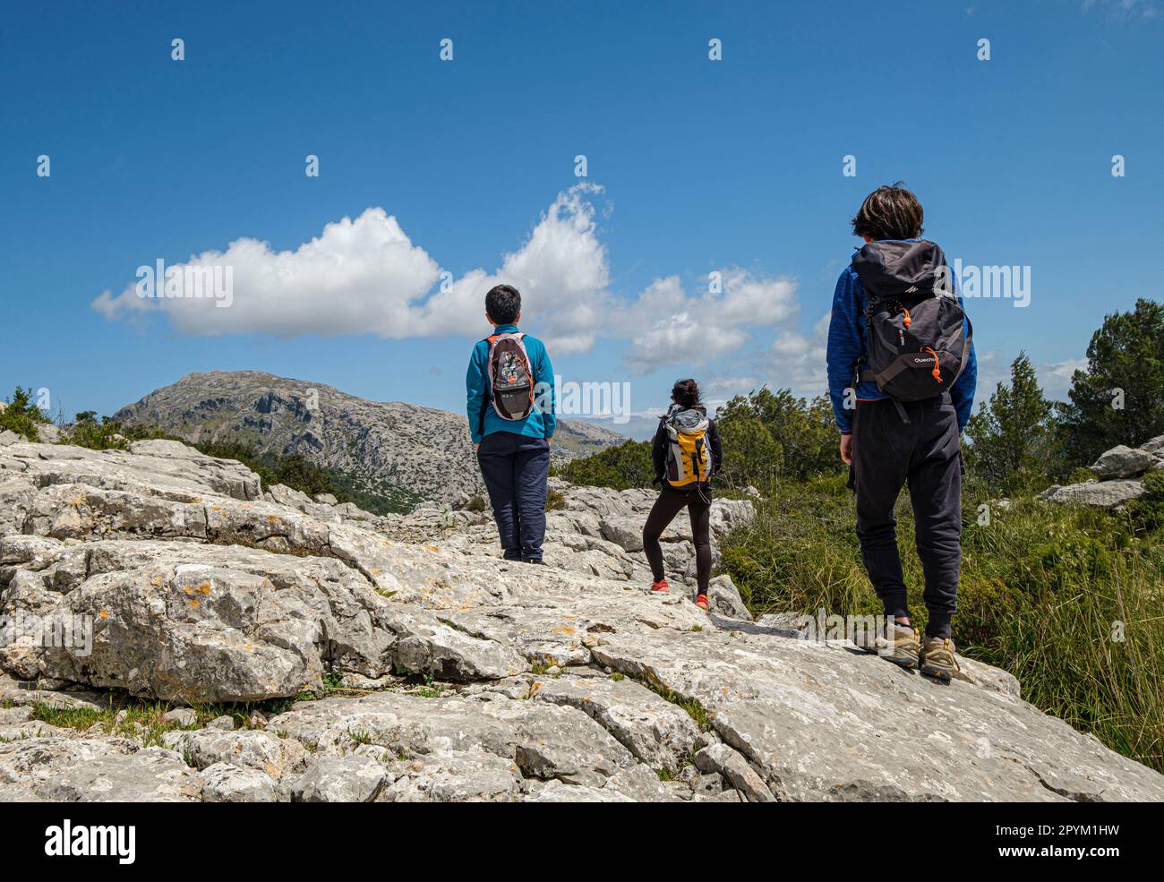 Escursionistas en el Puig des Castellot, 694 m, Selva, Majorque, Iles Baléares, Espagne Banque D'Images