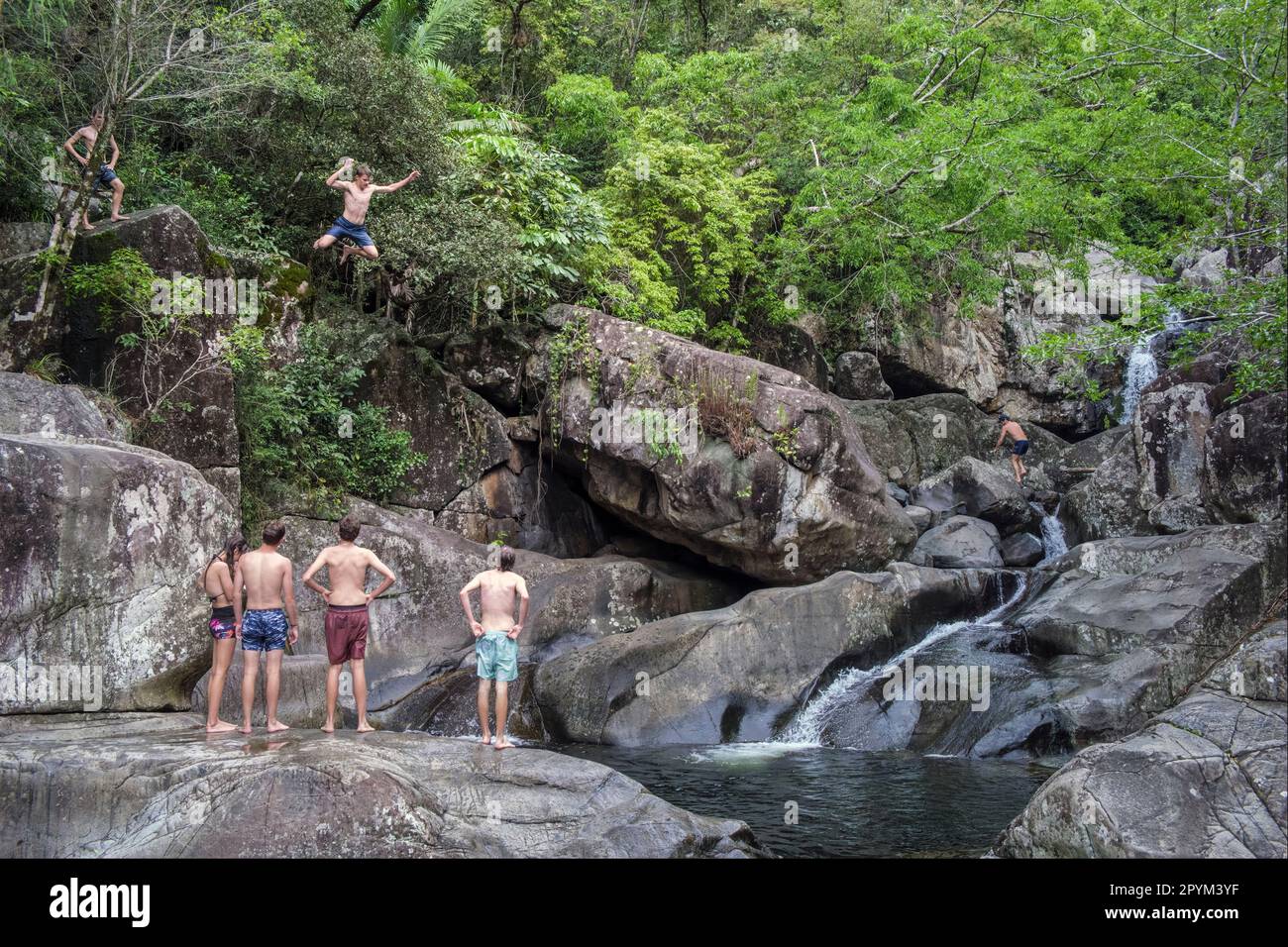 Des adolescents qui sautent dans un trou de baignade à Little Crystal Creek, Queensland, Australie Banque D'Images
