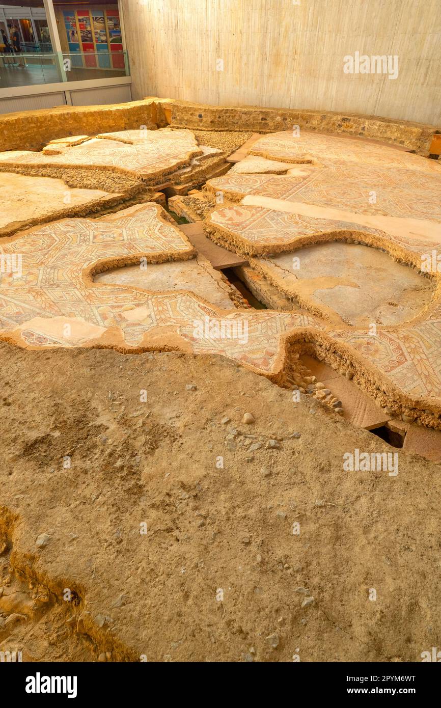 Mosaïque romaine, village romain de la Olmeda, site archéologique, propriété culturelle espagnole, Pedrosa de la Vega, Palencia, Castille et Leon, Espagne, Europe Banque D'Images