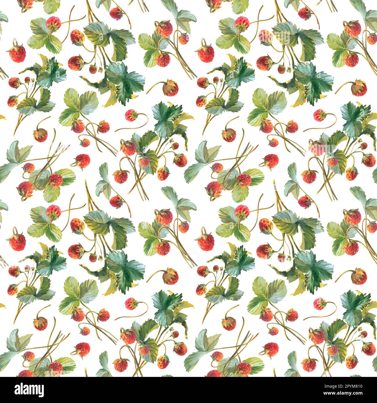 Motif fraise sans couture avec illustrations aquarelle de baies, de feuilles. Illustration des fraises, des baies, des saveurs de fraise. Banque D'Images