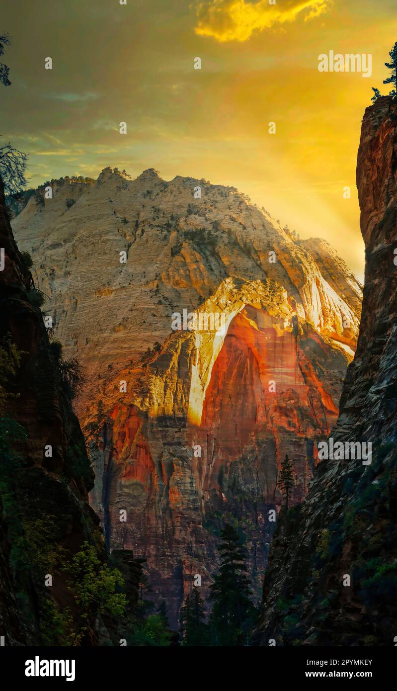 Coucher de soleil dans le parc national de Zion, Utah, États-Unis Banque D'Images