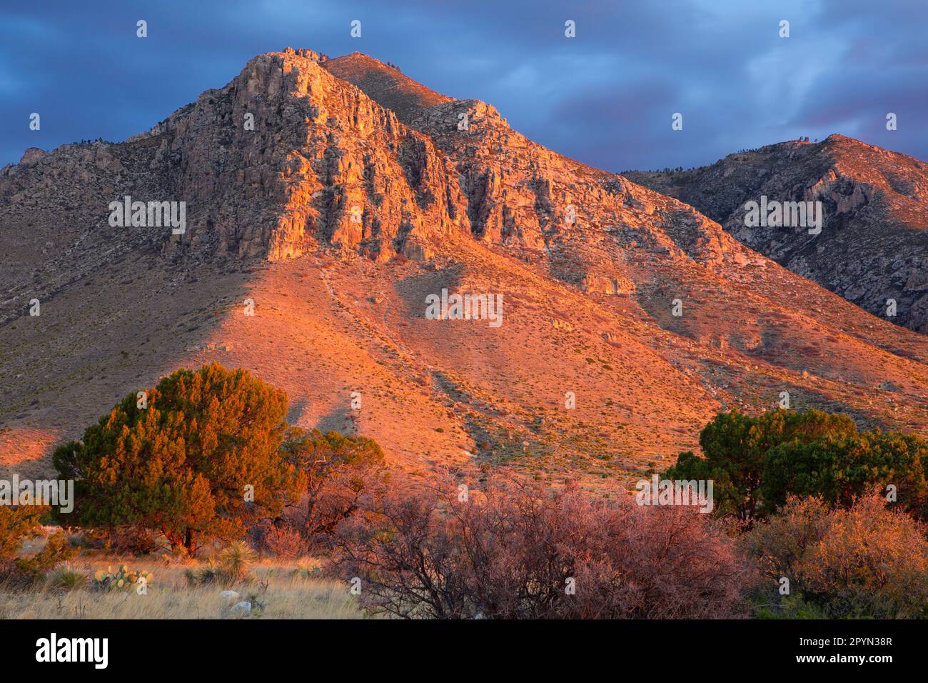 Montagnes Guadalupe depuis Pinery Trail, parc national des montagnes Guadalupe, Texas Banque D'Images