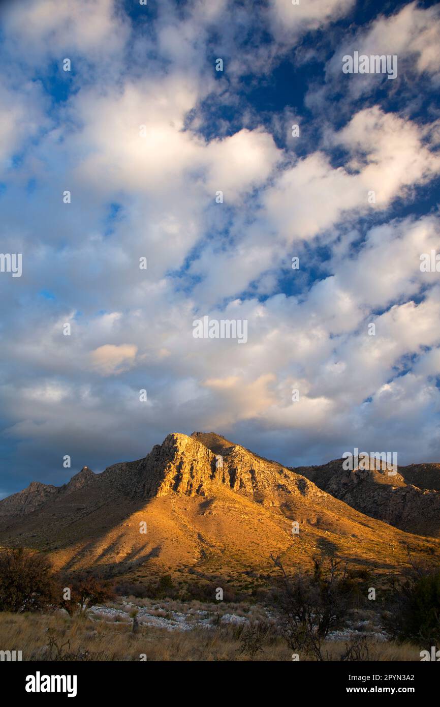 Montagnes Guadalupe depuis Pinery Trail, parc national des montagnes Guadalupe, Texas Banque D'Images