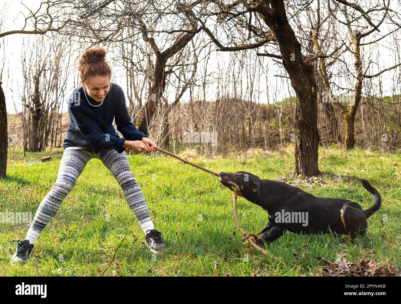 Jeune femme jouant avec son grand chien à l'extérieur. Banque D'Images
