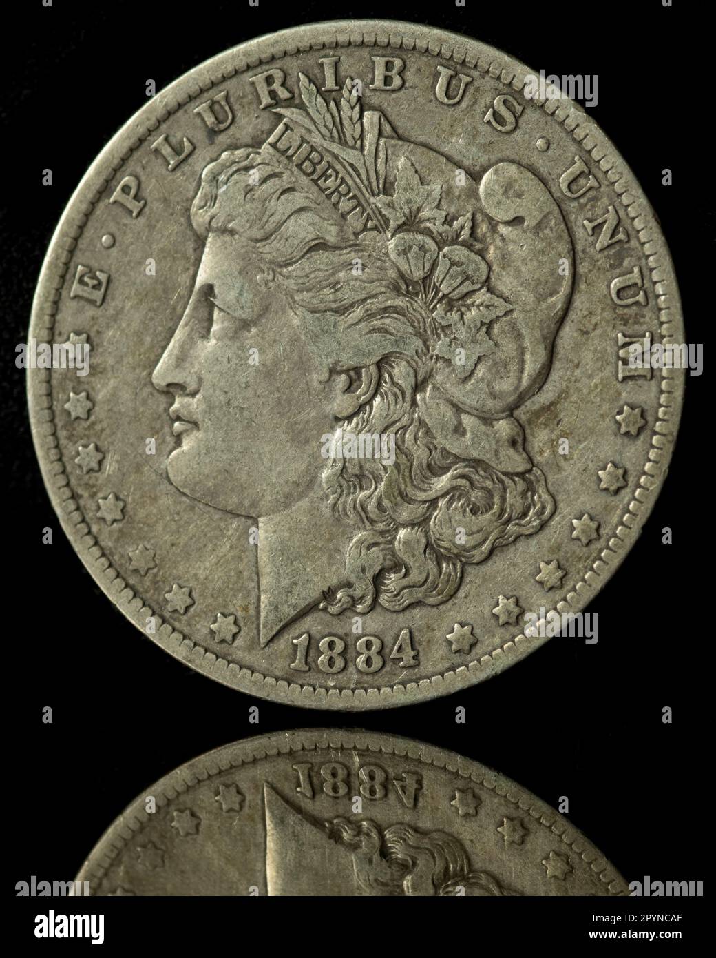 1884 Morgan Silver Dollar contre fond noir avec réflexion Banque D'Images