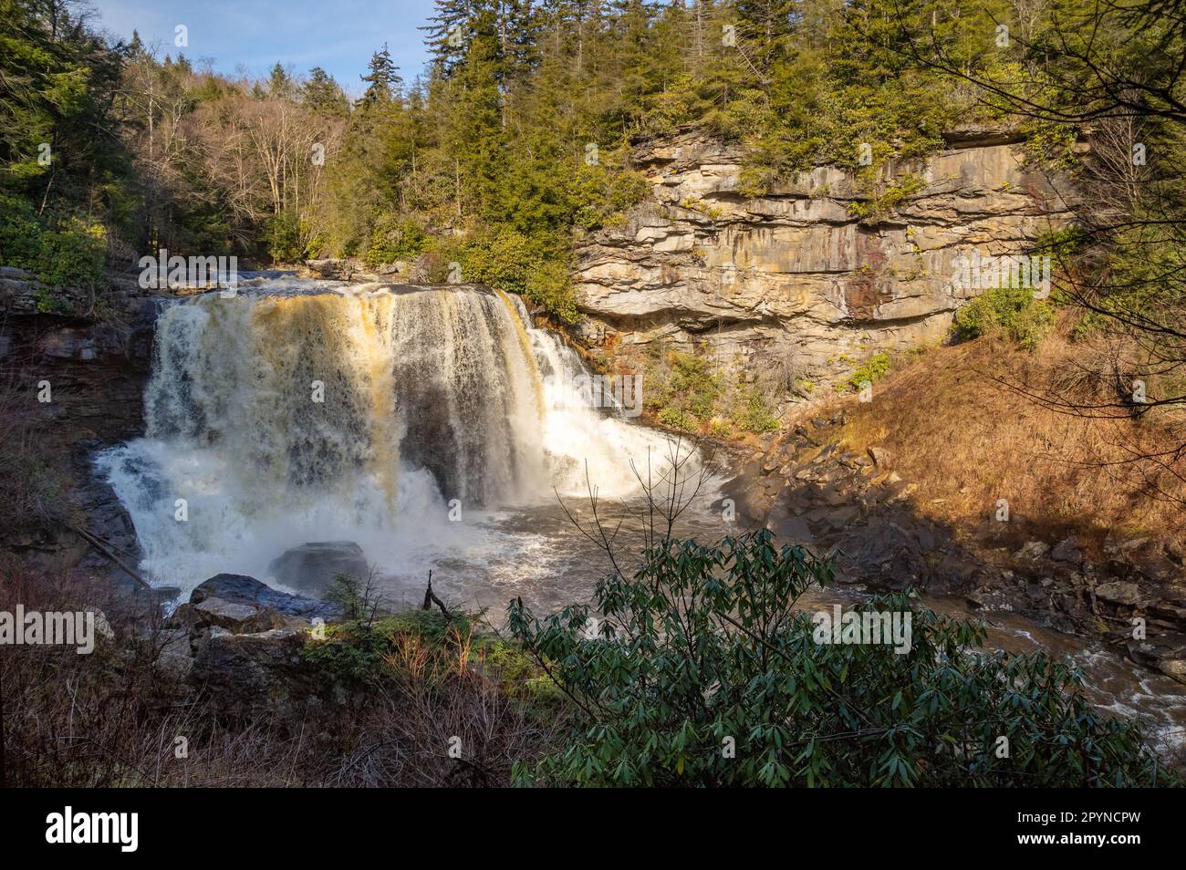 Blackwater Falls, Blackwater Falls SP, Davis, Virginie occidentale Banque D'Images
