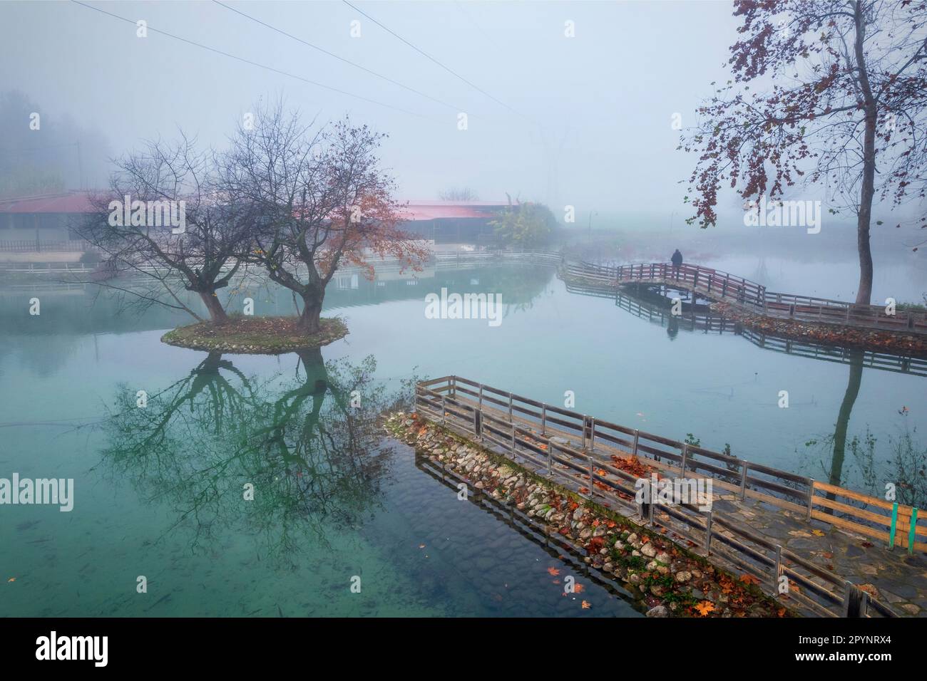 Homme solitaire à Vryssi Tyrnavou, un petit lac pittoresque et une zone de loisirs agréable à proximité de la ville de Tyrnavos, Larissa, Thessaly, Grèce. Banque D'Images