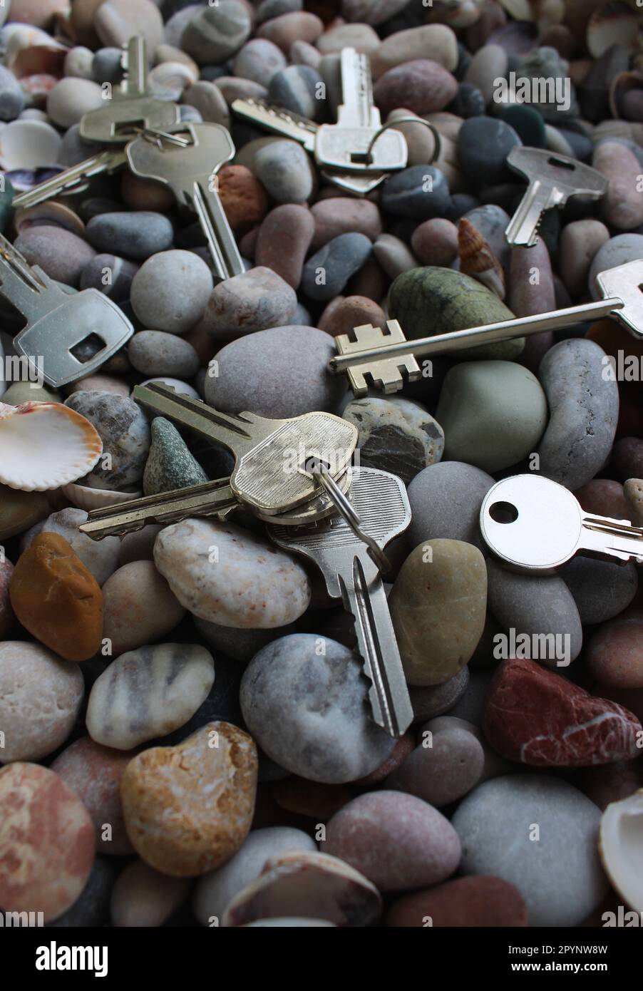 Différentes clés sur les anneaux et séparément sur les pierres de couleur et les coquillages Banque D'Images