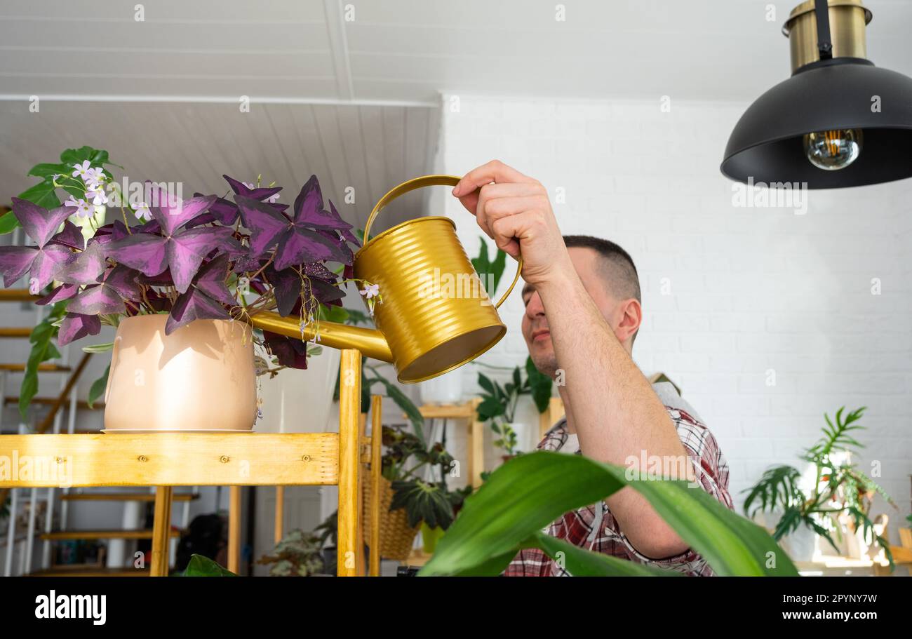L'homme arrose des plantes de sa collection d'espèces rares d'un — free download