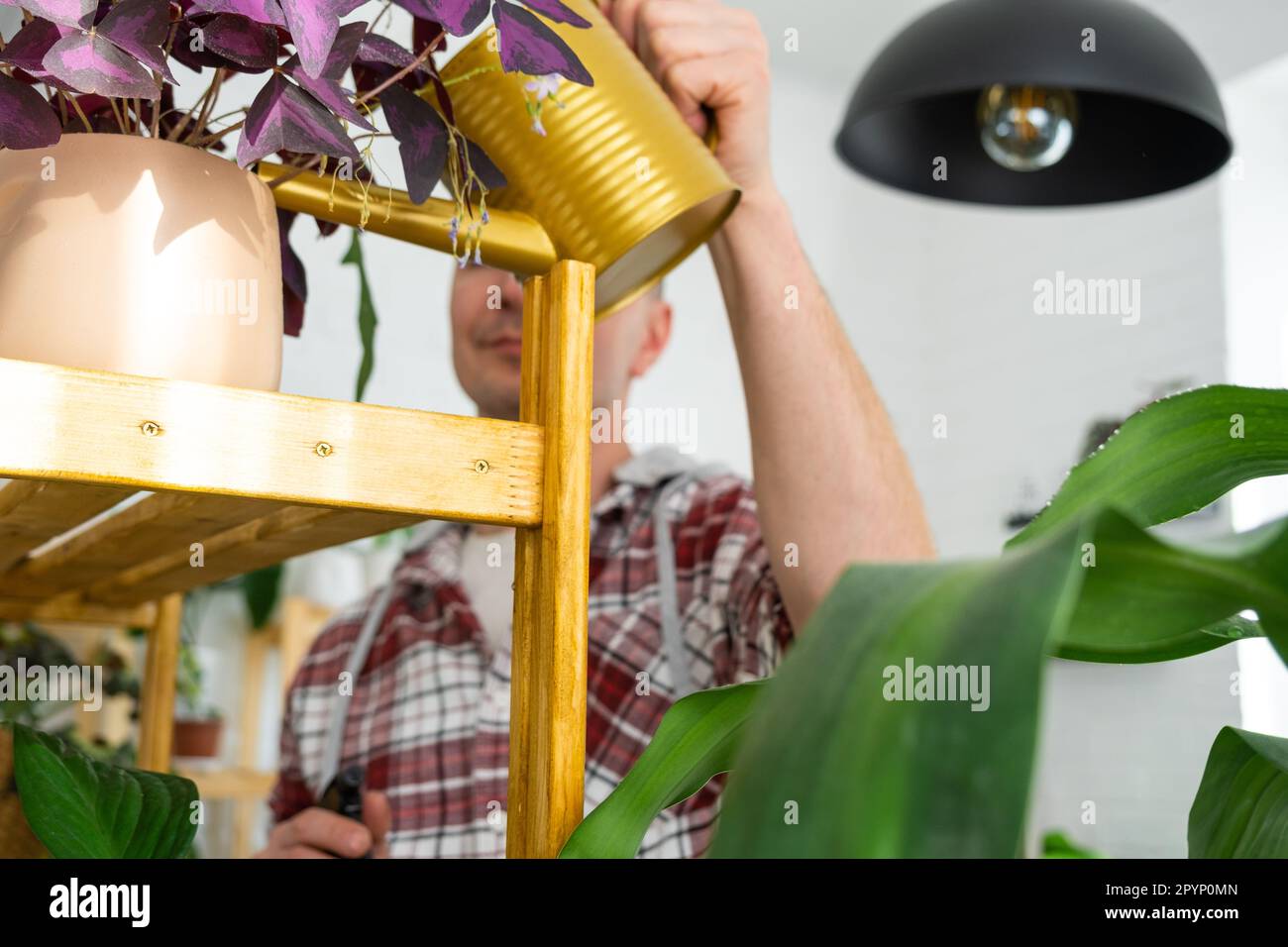 L'homme arrose des plantes de sa collection d'espèces rares d'un — free download