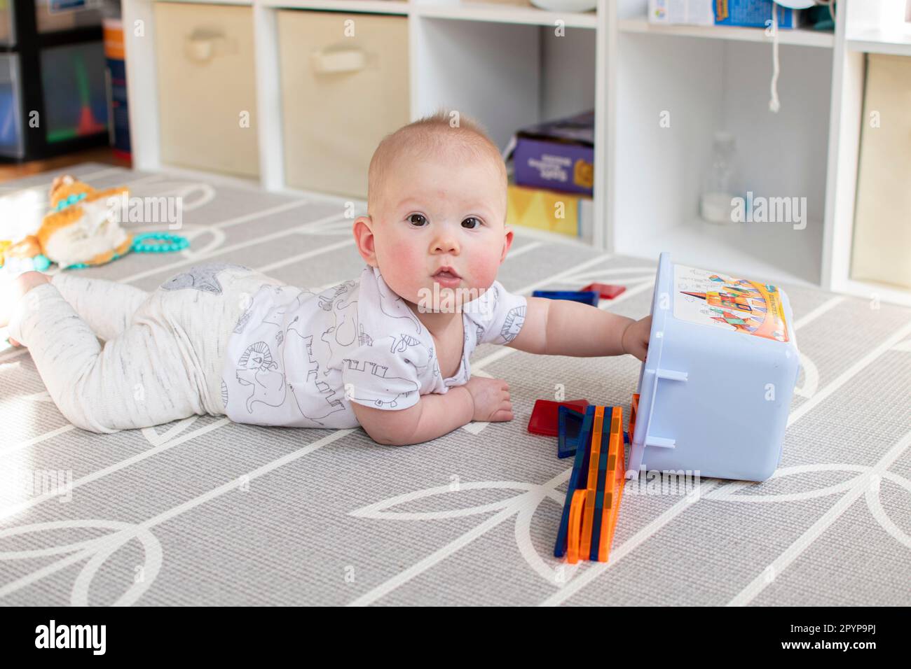 Portrait D'un Mignon Bébé De 6 Mois, Garçon Ou Fille, Dans Une Marchette De  Videur Avec Des Jouets En Plastique Attachés. Banque D'Images et Photos  Libres De Droits. Image 19063820