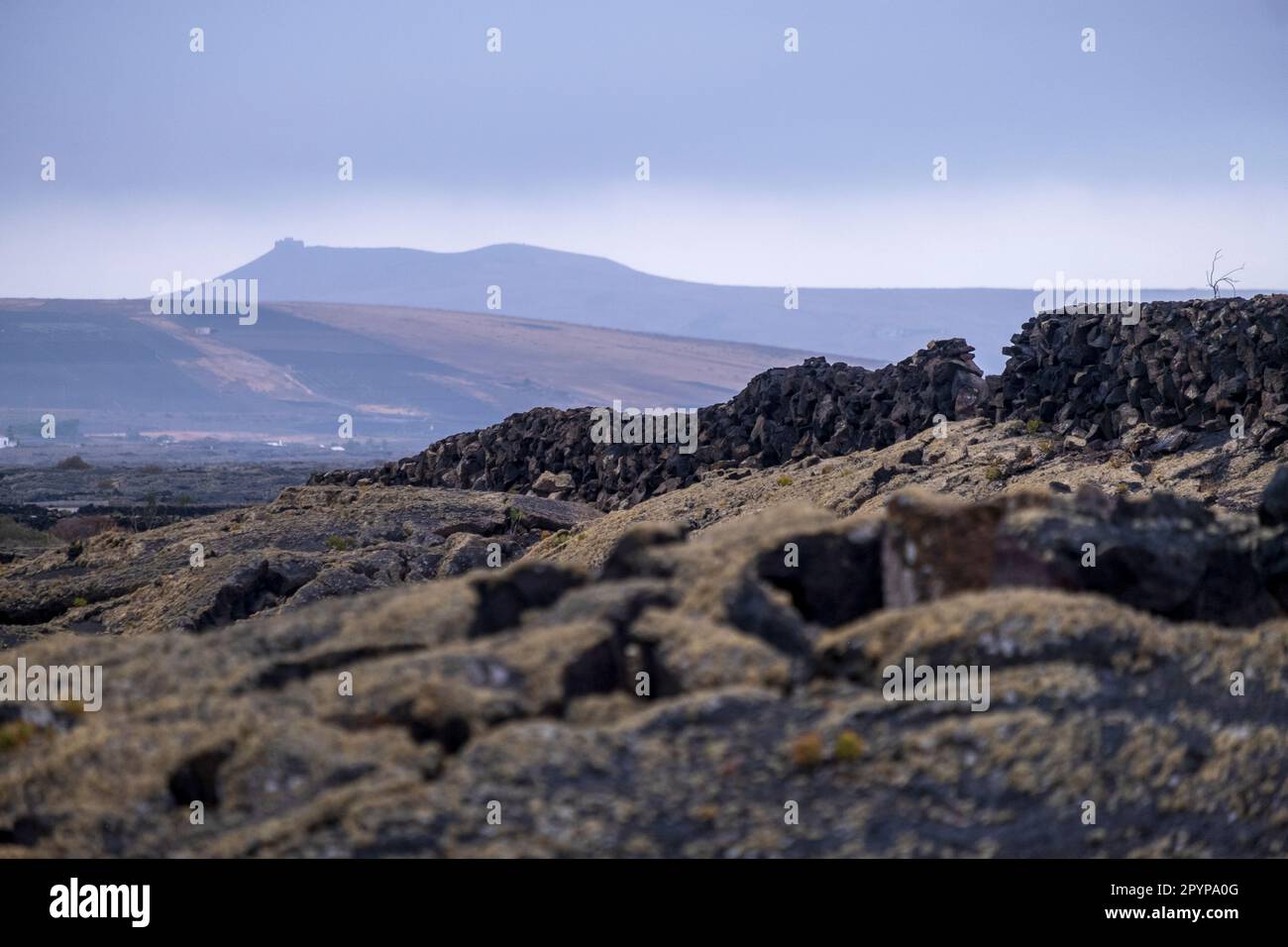 Mur de pierre sur Lanzarote, îles Canaries, Espagne Banque D'Images