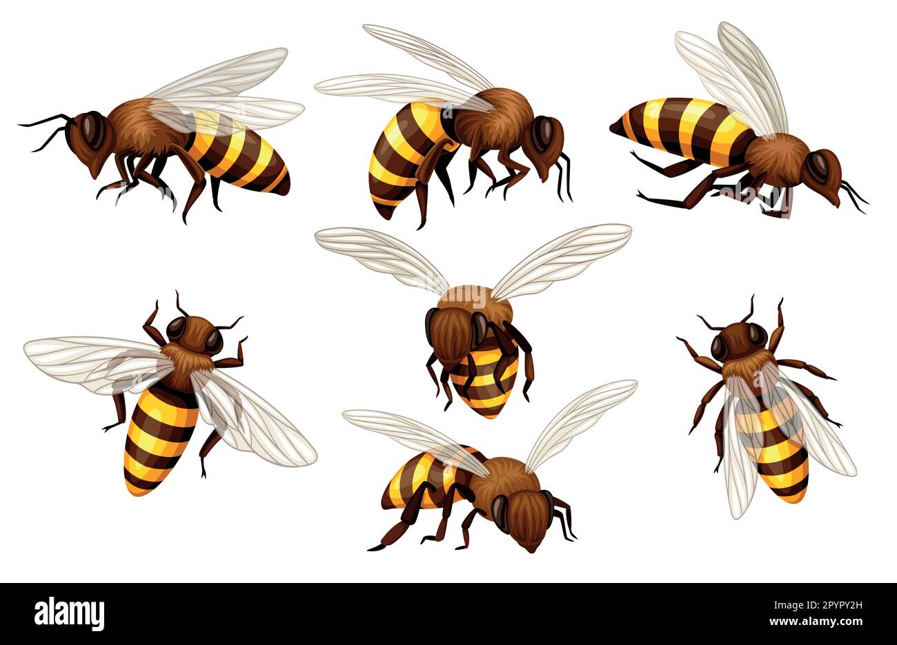 Ensemble d'abeilles Illustration de Vecteur