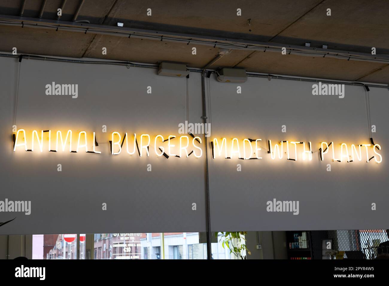 Un panneau indiquant « Animal Burgers Made with plants » sur le mur à l'intérieur du restaurant V-face vegan à Dublin, en Irlande. Banque D'Images