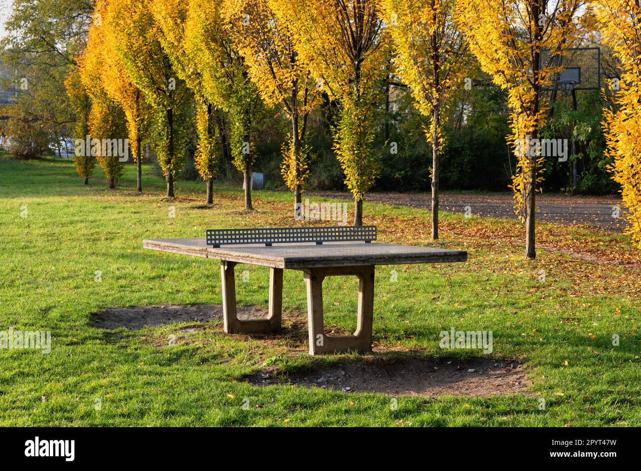 Tennis de table sur pelouse dans un parc, table de ping-pong extérieure avec filet fixe et structure en béton, résistant aux intempéries et au vent. Banque D'Images