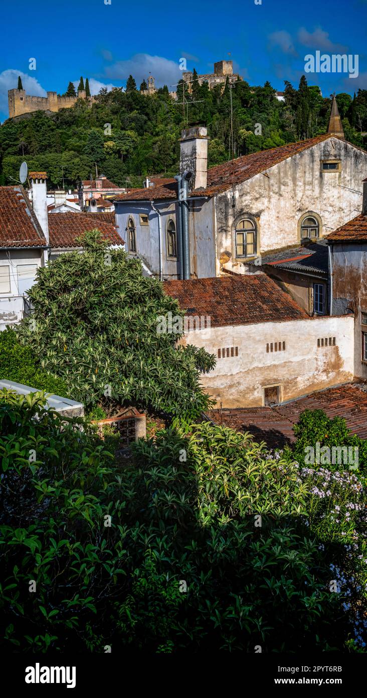 Maisons de Tomar et château des Templiers, Santarem, Portugal. Banque D'Images