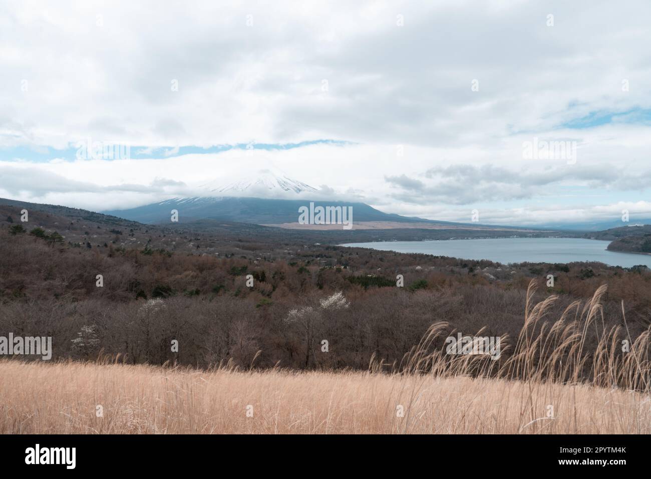 Lac Yamanaka et Mt. Fuji vu du point de vue Panoramadai par jour nuageux Banque D'Images