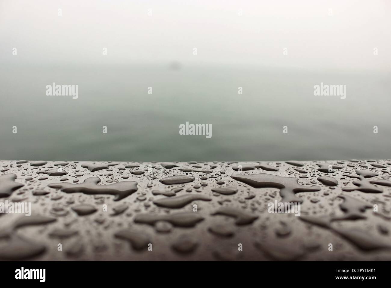 nuageux, pluvieux, jour d'automne sur la rive d'un grand lac, brouillard sur l'eau sous forme de brume grise, gouttelettes d'eau prises au premier plan Banque D'Images