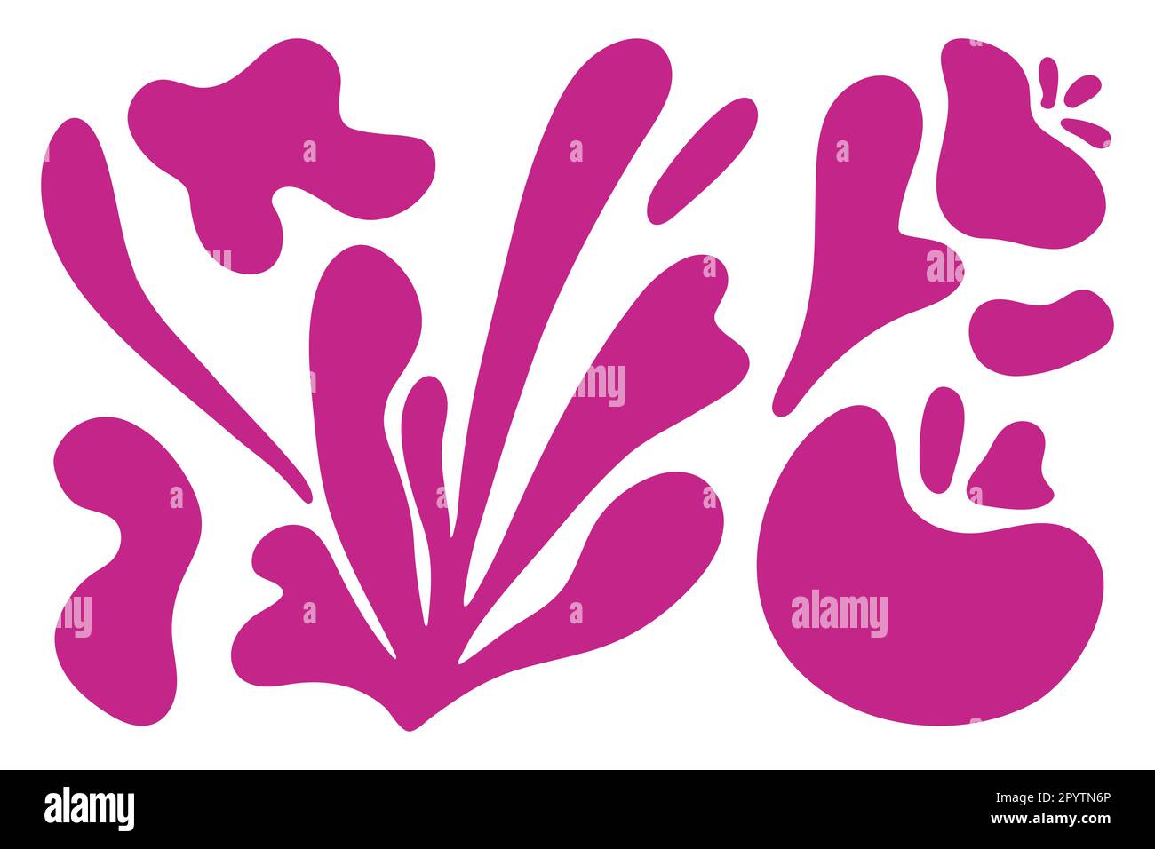 Matisse forme des algues fleuries abstraites dans un style biologique contemporain tendance. Composition Doodle peint fleur et feuille d'acier. Vecteur botanique Illustration de Vecteur