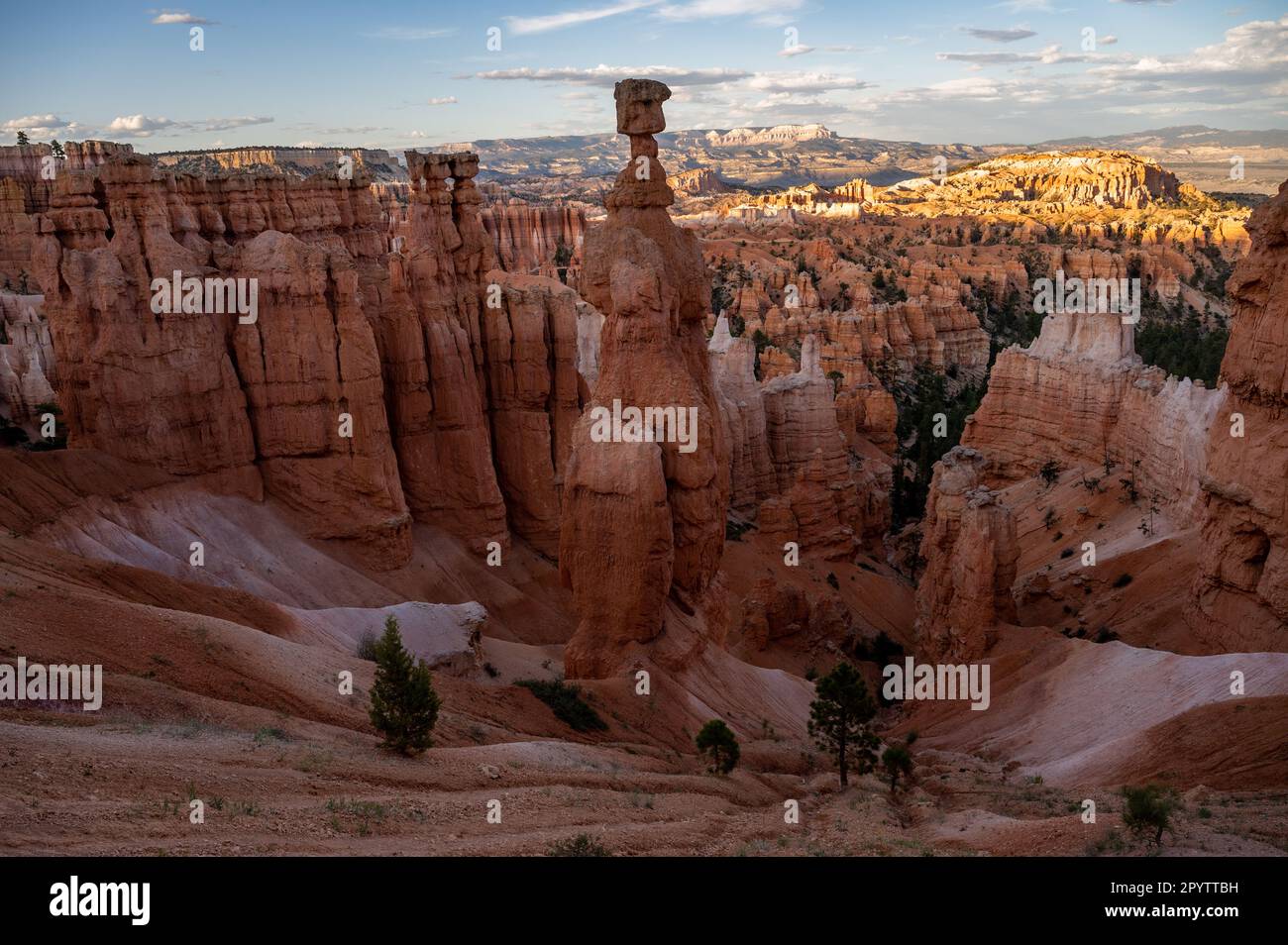 Thors Hammer se dresse dans l'amphithéâtre principal du parc national de Bryce Canyon Banque D'Images