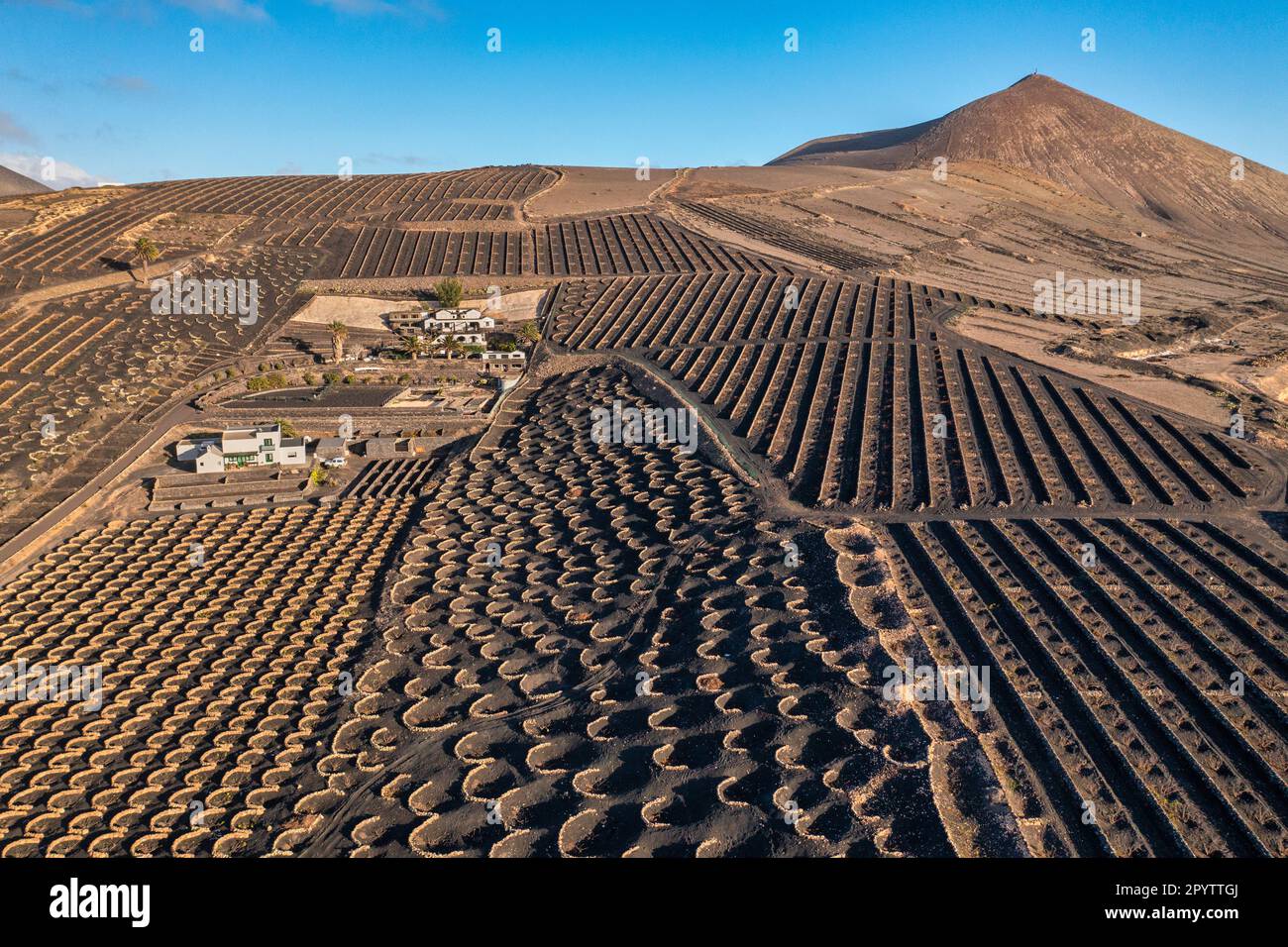 Espagne, îles Canaries, île de Lanzarote. Masdache. Région de la Geria. Protéger les cultures contre les vents (vignes, fruits, légumes) peu semi-circulaire Banque D'Images