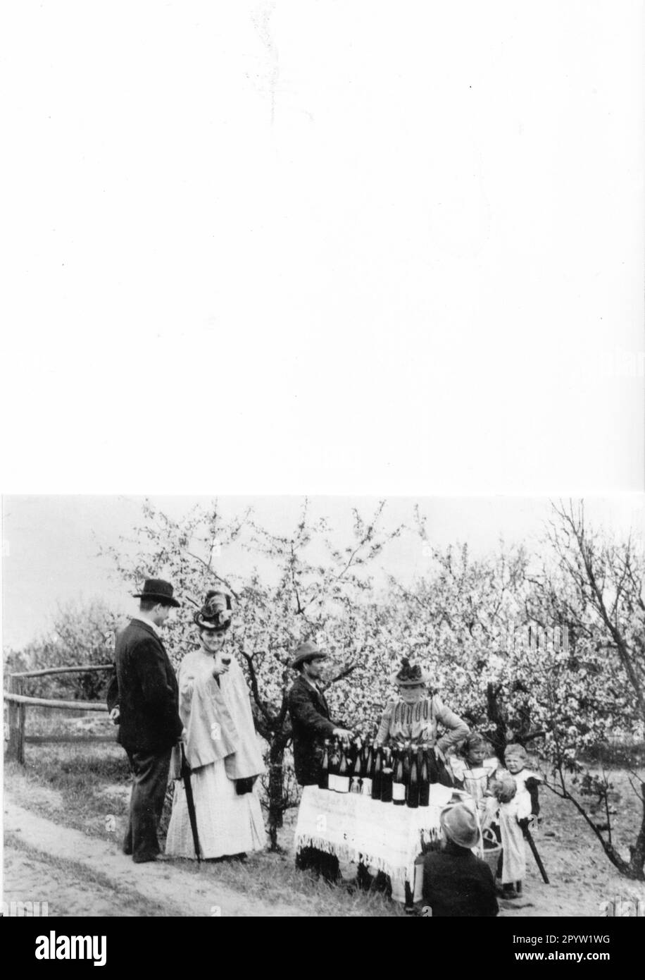 Werder/Havel Tree Blossom festival histoire historique c'était autrefois vente de vin de fruits 1902 dans le jardin de fleurs, tradition , voyage à la campagne photo: MAZ/Archive [traduction automatique] Banque D'Images