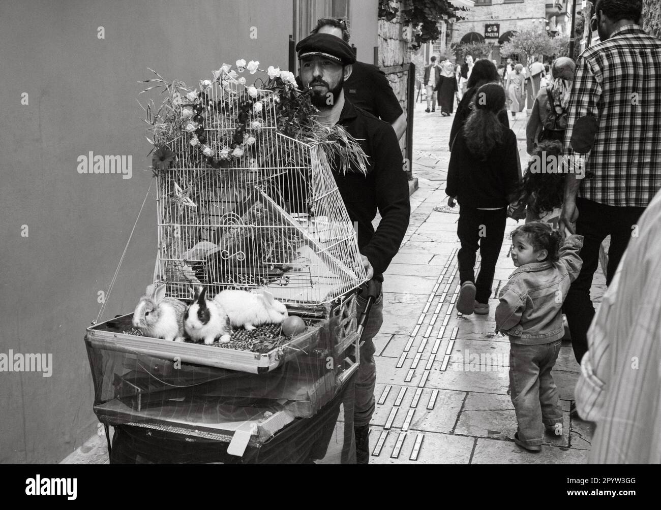 Un homme pousse un bébé décoré portant une cage et trois lapins en tant qu'enfant regarde dans la vieille ville de Kaleici, Antalya, province d'Antalya, Turquie (Turkiy Banque D'Images