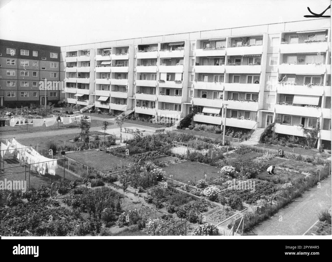 Manfred wirtschaft Banque de photographies et d’images à haute