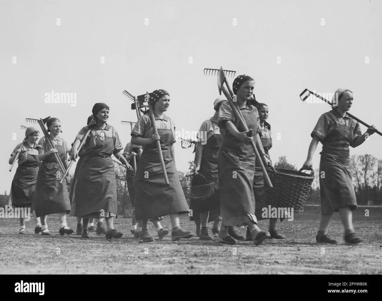 Jeunes femmes du Service du travail volontaire féminin au travail dans le domaine de Der Luisenhof. [traduction automatique] Banque D'Images