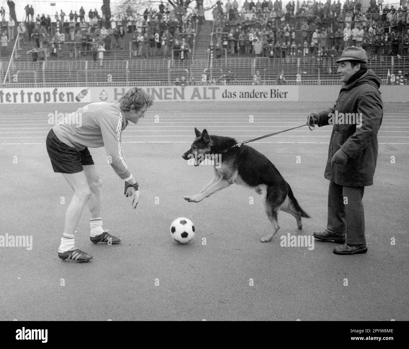 Fortuna Düsseldorf - FC Bayern München / 15.01.1977 / Joker Sepp Maier (Bayern) joue avec le chien d'un steward. Usage éditorial uniquement ! pour des buts journalistiques seulement ! [traduction automatique] Banque D'Images