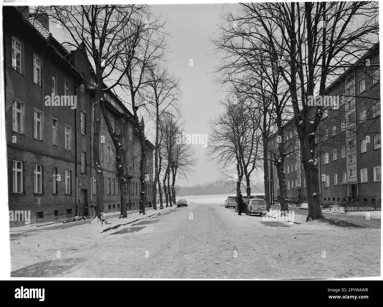Rue avec arbres et maisons en hiver avec neige. Wildau, quartier de Dahme-Spreewald, Brandebourg. Photo, 1994. Banque D'Images