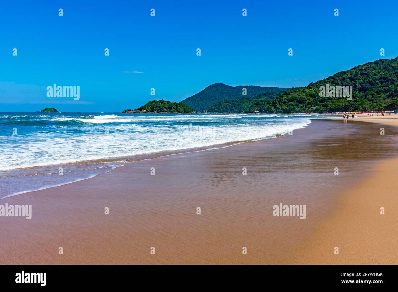 Plage paradisiaque entourée de forêt tropicale et de collines par une journée ensoleillée à Bertioga sur la côte de Sao Paulo, Bertioga, Sao Paulo, Brésil Banque D'Images