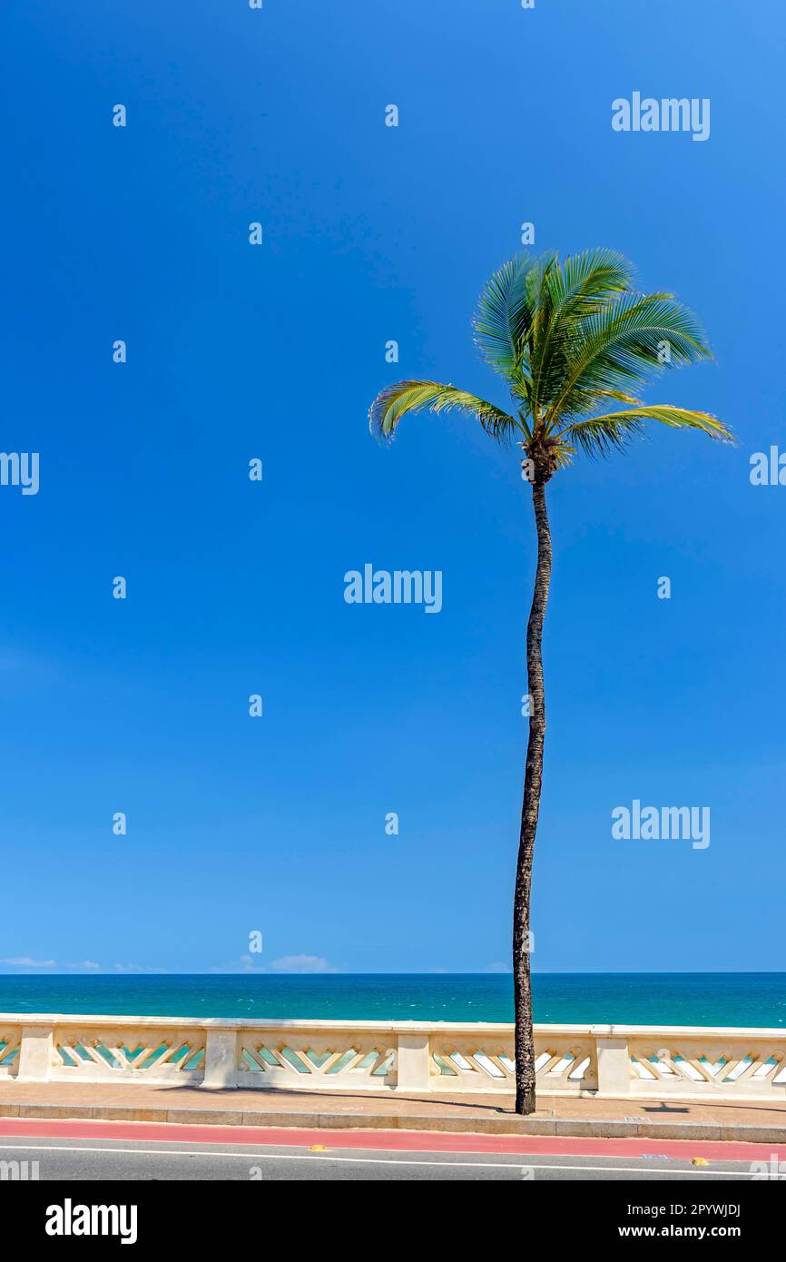 Front de mer et avenue océanique dans la zone urbaine de la ville de Salvador, Bahia, Brésil Banque D'Images