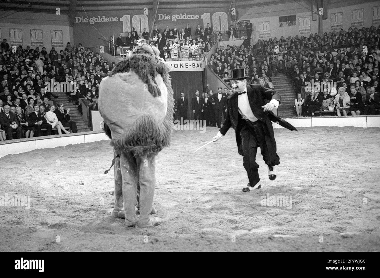 Stars of the Manège-The Golden Ten 1966 [traduction automatique] Banque D'Images