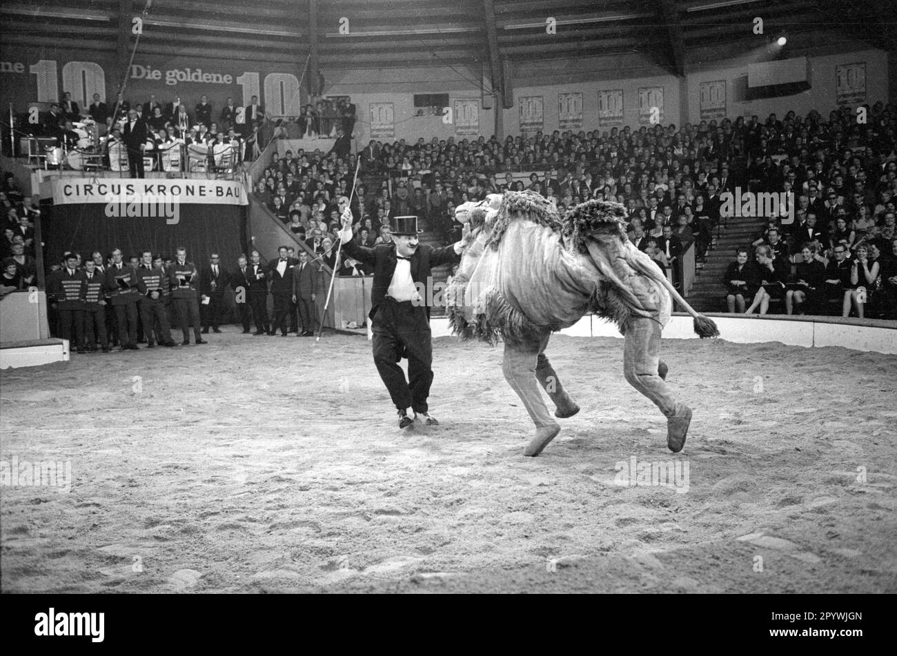 Stars of the Manège-The Golden Ten 1966 [traduction automatique] Banque D'Images