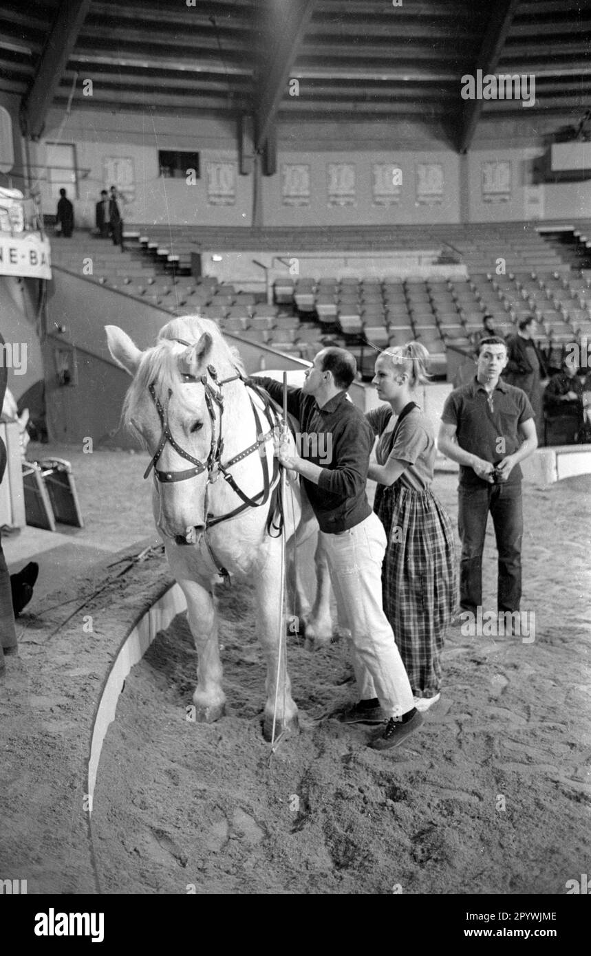 Stars of the Manège-The Golden Ten 1966 [traduction automatique] Banque D'Images