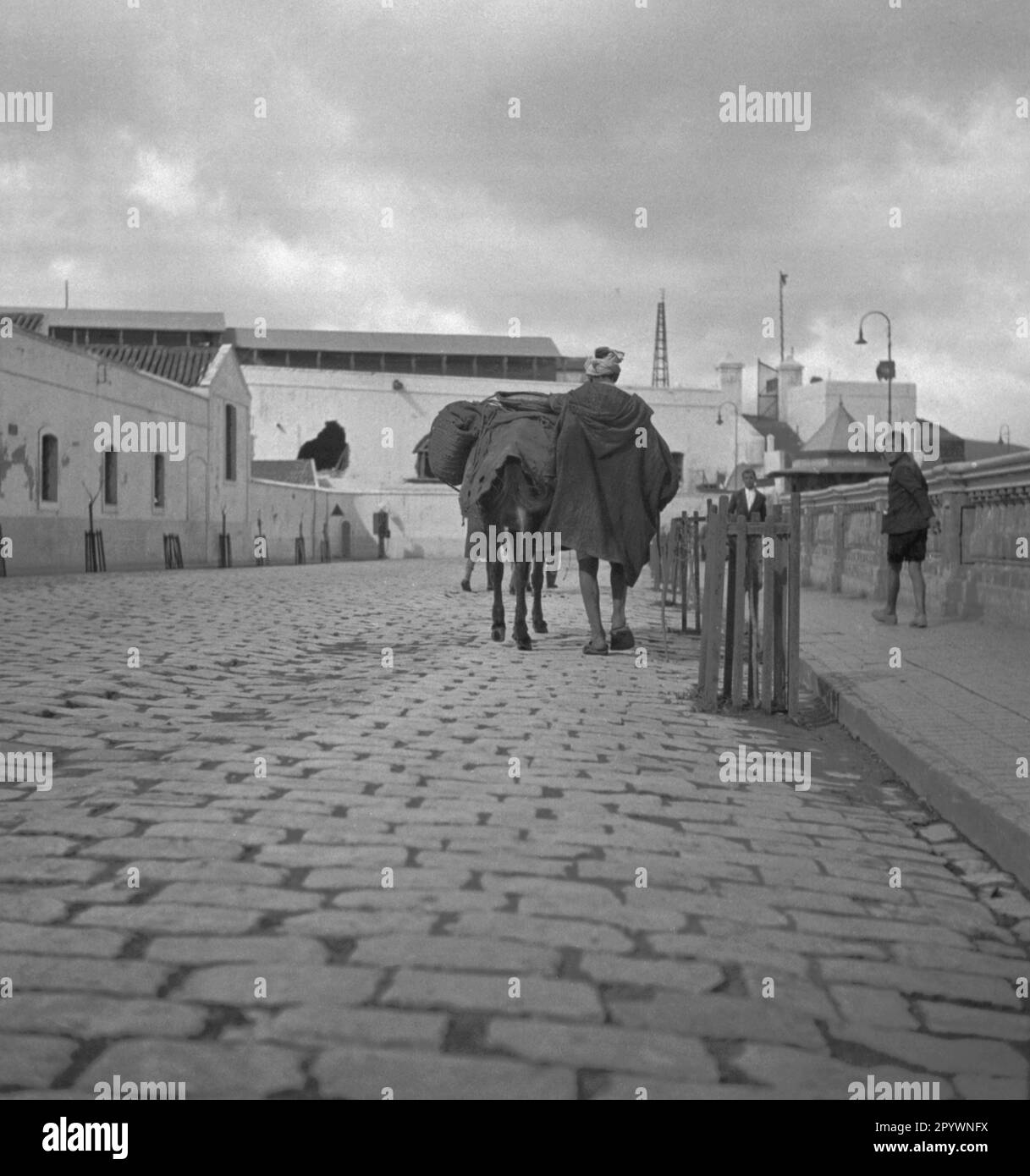 Un homme descend une rue à Tétoun avec un cheval chargé. Banque D'Images