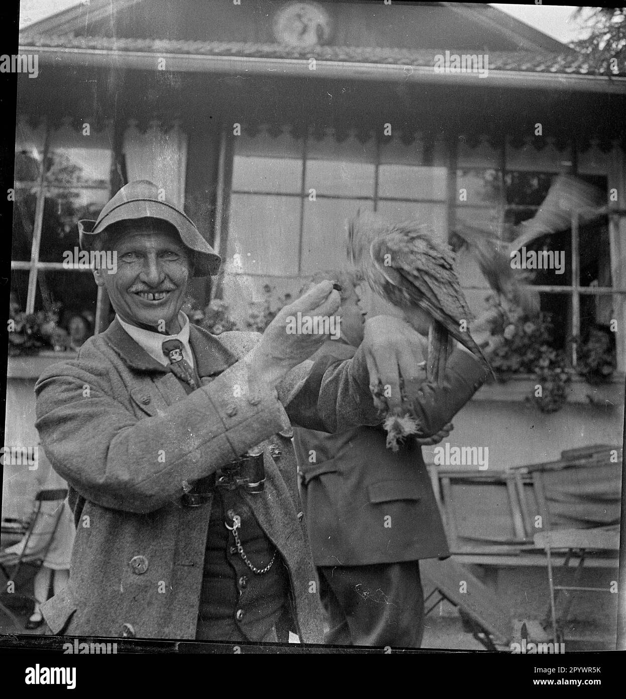 L'observatoire des rapaces a été ouvert à Garmisch sur 1 juin 1931. Ici, un employé de l'Institut ornithologique présente un des oiseaux de proie. Il s'agit probablement du Dr Karl Haenel, directeur de l'Institut ornithologique. Banque D'Images