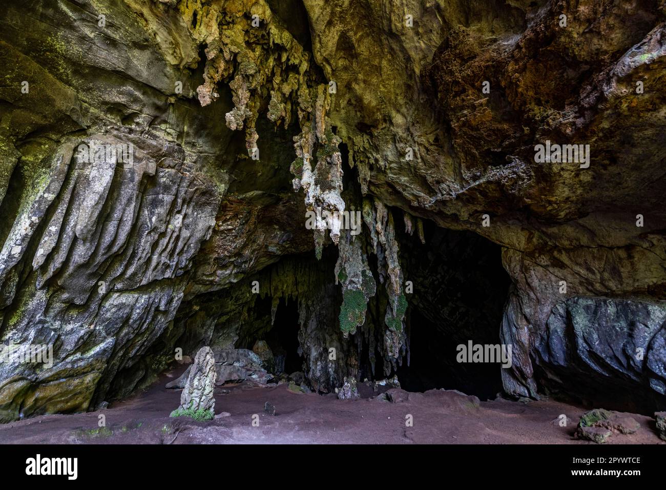 Grotte de Santana, site de l'UNESCO réserves du Sud-est de la forêt atlantique, parc régional touristique d'Alto Ribeira, état de Sao Paulo, Brésil Banque D'Images