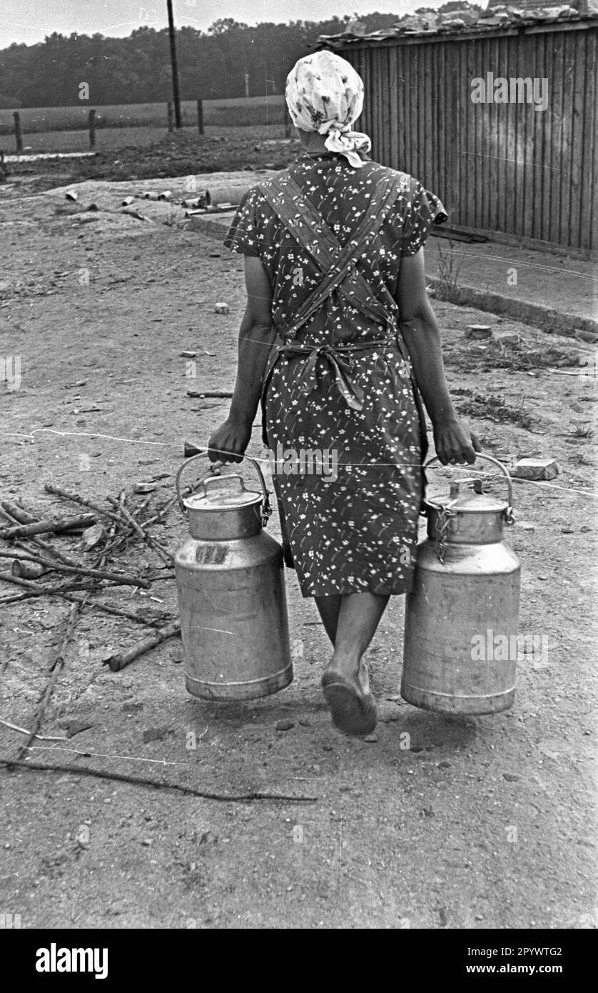 Un fermier dans le nouveau village Haage avec deux cannes à lait. Haage a été construit dans le cadre du programme de colonisation nazi. Photo non datée d'environ 1936. Banque D'Images