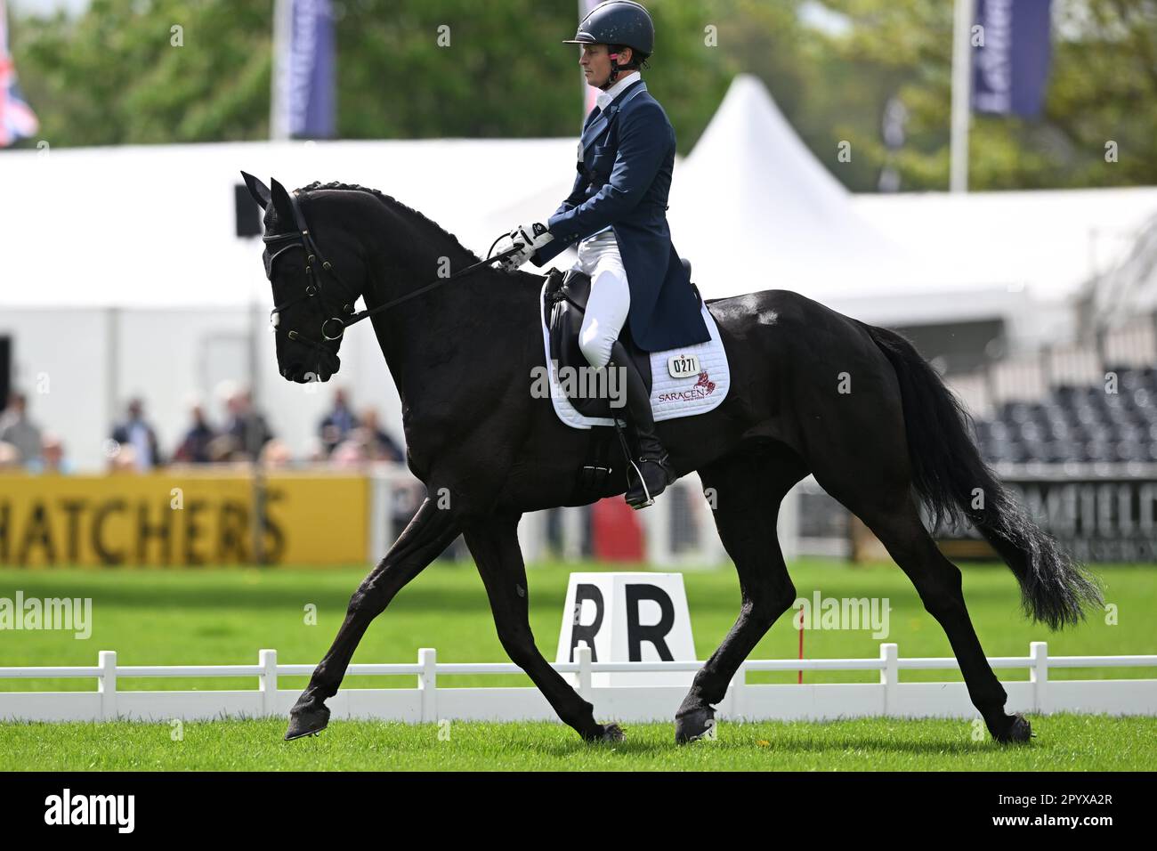 Badminton Estate, Gloucestershire, Royaume-Uni. 5th mai 2023. 2023 épreuves de badminton jour 2; Francis Whittington de Grande-Bretagne circonscription DHI Purple Rain pendant le test de dressage le jour 2 crédit: Action plus Sports/Alay Live News Banque D'Images