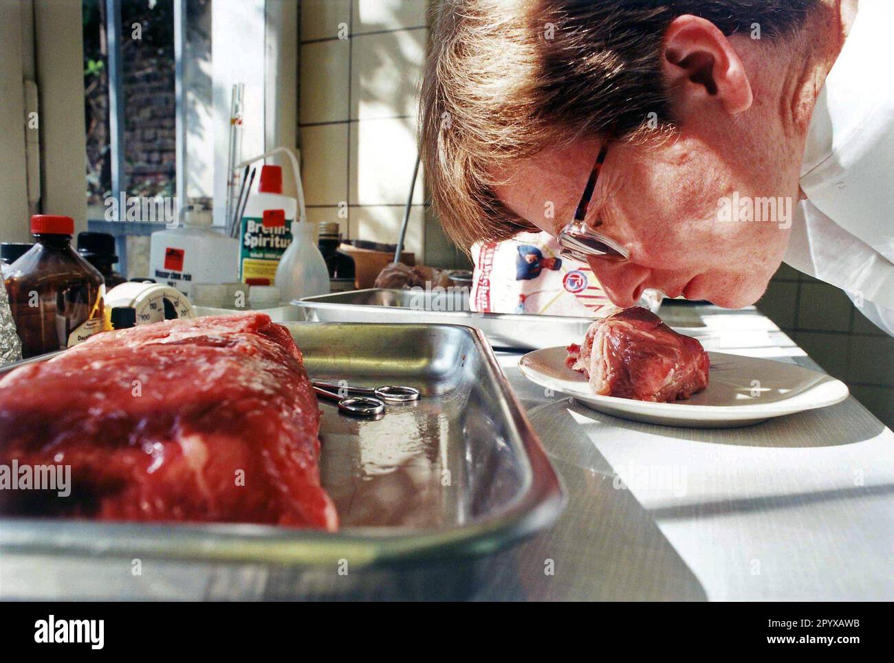 «Inspection d'un grossiste de produits de viande par le vétérinaire du bureau vétérinaire de l'administration de la ville de Bonn. Ici : ''test de poêle'', test d'odeur. [traduction automatique]' Banque D'Images