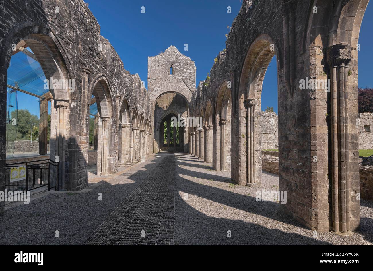 Ireland, Comté de Roscommon, Boyle, Abbaye de Boyle fondée en 1161 par des moines cisterciens, le 21st siècle conservé North Allee, Nave et Cloister Banque D'Images