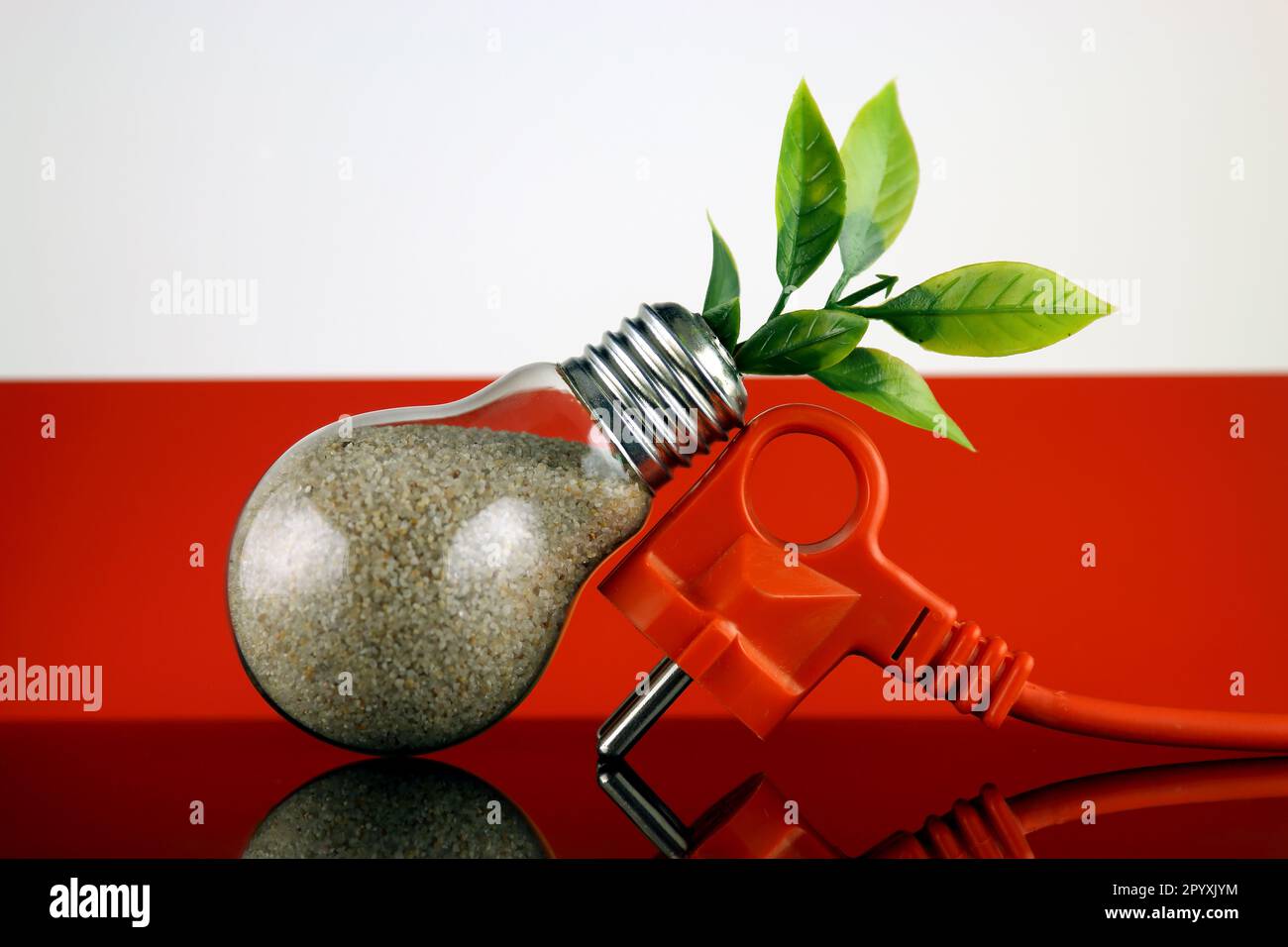 Bouchon, plante poussant à l'intérieur de l'ampoule et drapeau de Pologne. Concept d'énergie renouvelable écologique. Banque D'Images