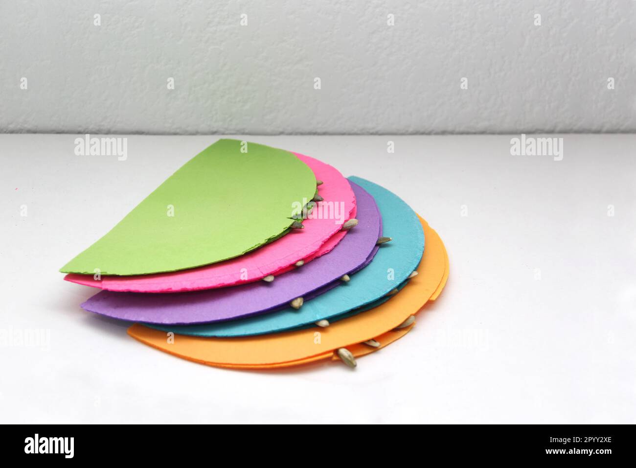 Gaufrettes mexicaines typiques de couleur bonbon collées avec du miel décoré de graines et d'amaranth dessert traditionnel au mexique Banque D'Images