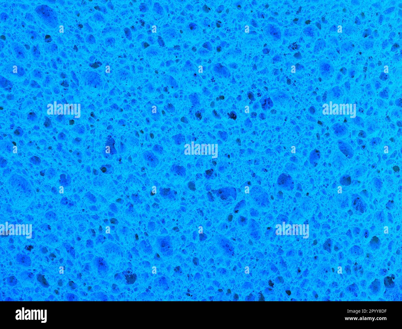 Texture détaillée de l'éponge bleue Banque D'Images