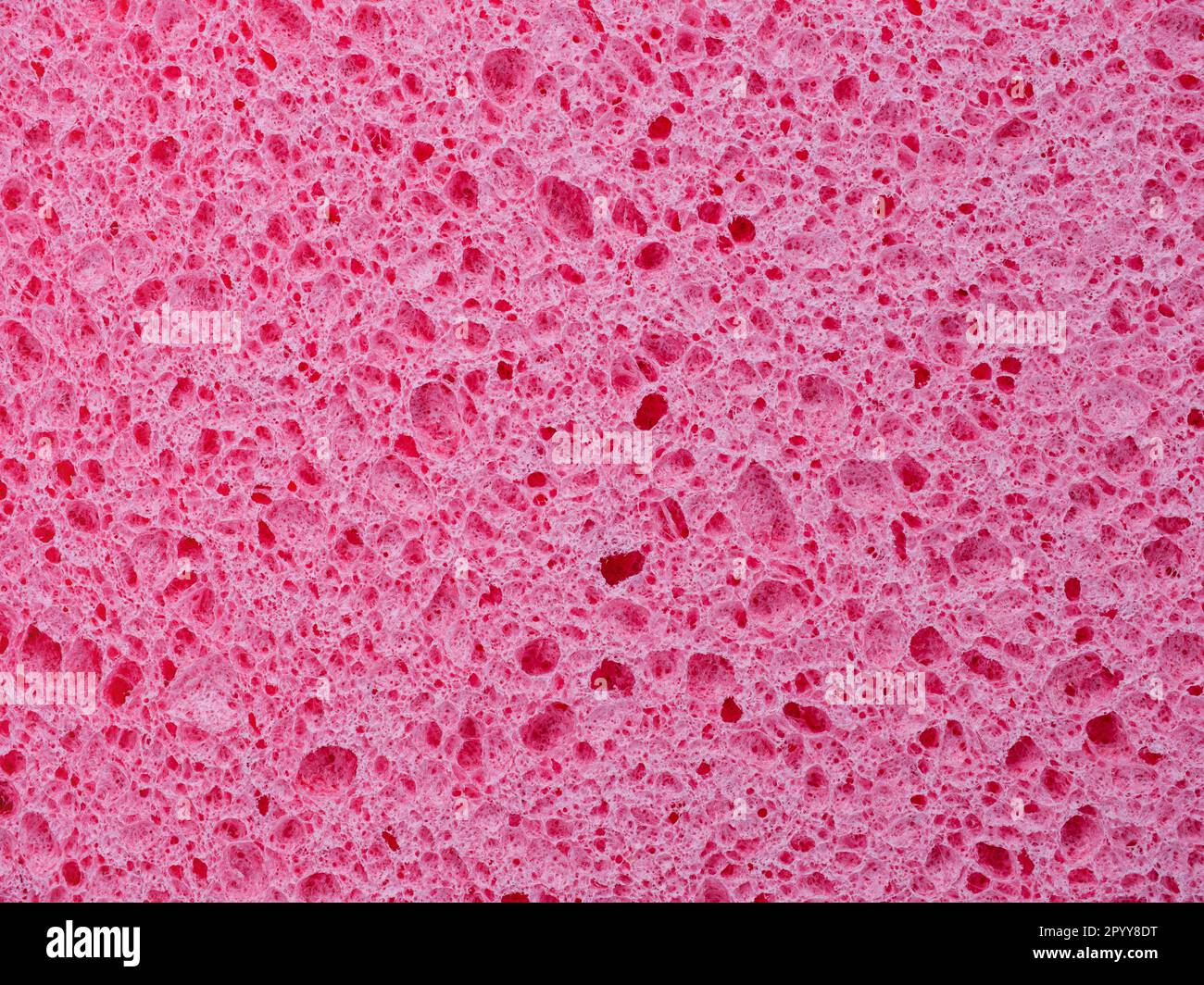 Texture rapprochée d'une éponge à laver. Arrière-plan abstrait rose Banque D'Images