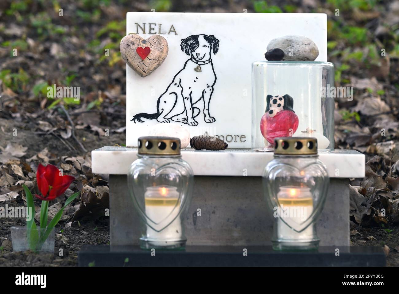 Mémorial de chien avec des bougies et une rose rouge dans un cimetière pour animaux de compagnie Banque D'Images