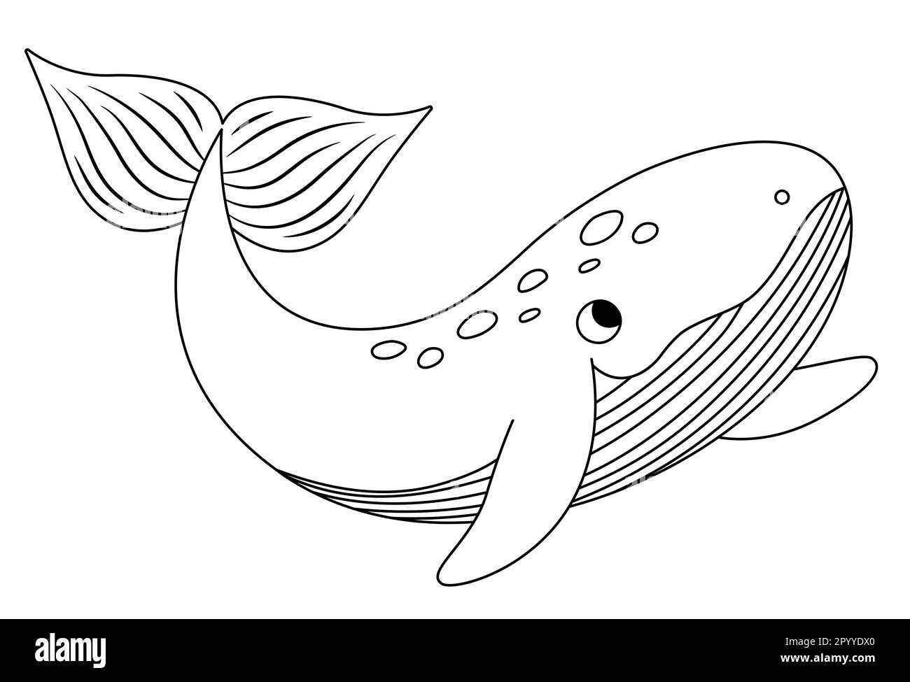 Icône représentant une baleine noire et blanche vectorielle. Sous l'illustration de la ligne de mer avec le joli poisson drôle. Clipart animal océan. Dessin animé sous-marin ou coloration marine p Illustration de Vecteur